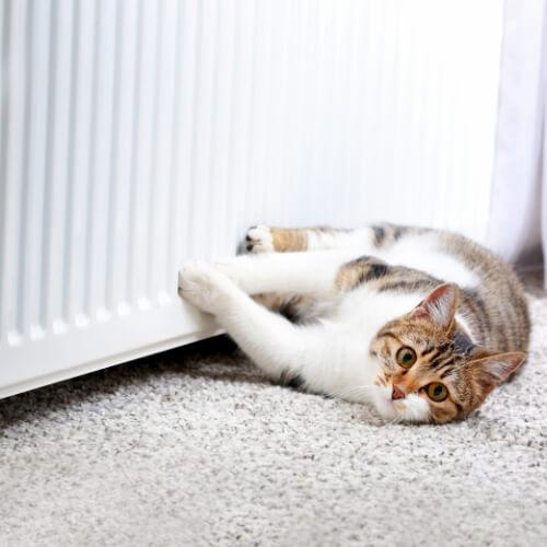 Radiator outlet